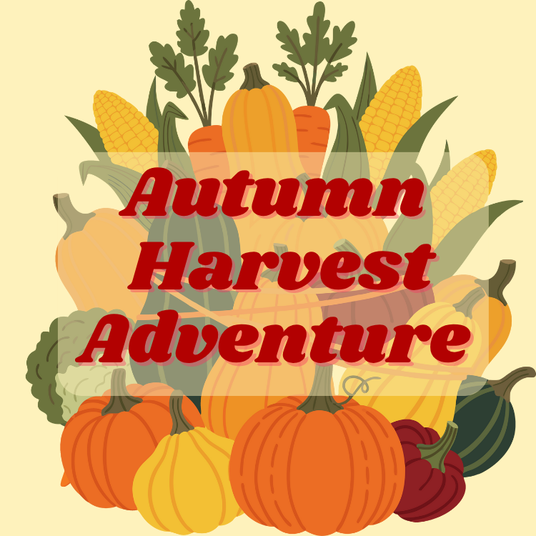 **休日プログラム**収穫チャレンジ